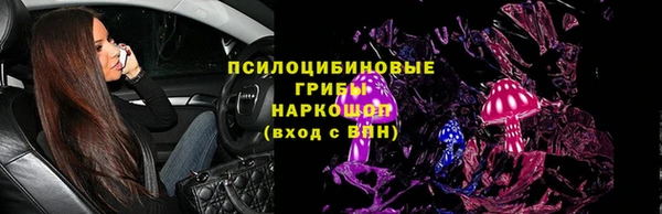 a pvp Абаза