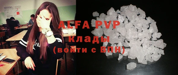 стаф Абинск