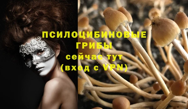 стаф Абинск