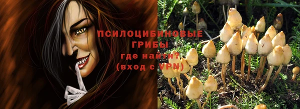 стаф Абинск
