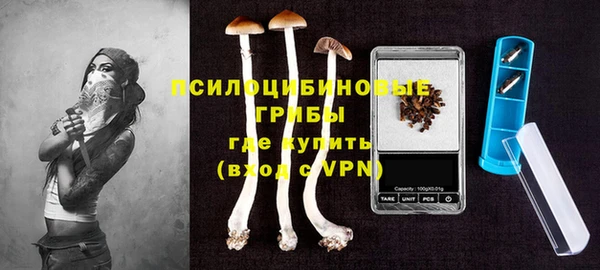 стаф Абинск