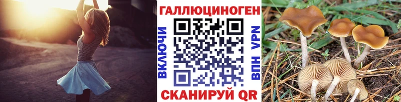 Галлюциногенные грибы GOLDEN TEACHER Калининград
