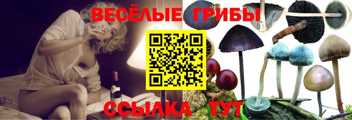 Калининград  Галлюциногенные грибы MAGIC MUSHROOMS  Вход с VPN  Псилоцибиновые грибы GOLDEN TEACHER 