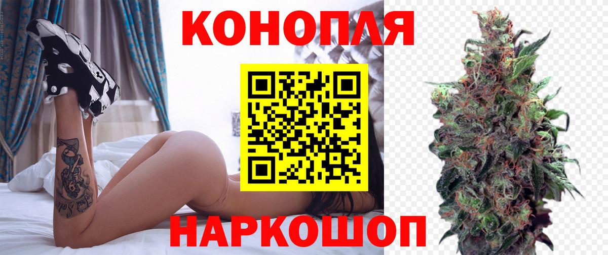 Конопля индика Калининград